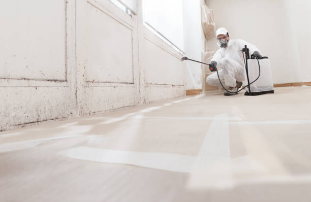24/7 Emergency Attic Mold Removal experts in Du Bois, PA